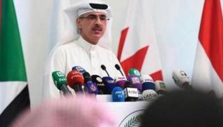 المستشار منصور المنصور