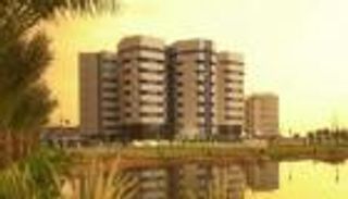 هل تكبح مزادات "المركزي السوداني" الدولار؟.. الخبراء يفسرون