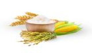 تبخر 63 مليار دولار.. الأوزون يحرق 3 محاصيل آسيوية