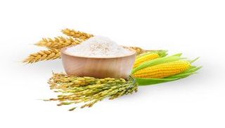 تبخر 63 مليار دولار.. الأوزون يحرق 3 محاصيل آسيوية