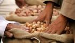 "التمور المصرية" تعزز تنافسيتها عالميا بدعم "جائزة خليفة"