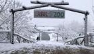 حديقة الحيوانات في أربيل تتحول إلى "قطعة ثلج" (صور)