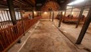 افتتاح كنيسة بيزنطية تعود للقرن الـ5 الميلادي في غزة (صور)