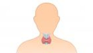 إنفوجراف.. أطعمة مهمة لصحة الغدة الدرقية