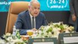 أبو الغيط: على مصر والإمارات استغلال قمتي المناخ لتعزيز دور الجامعة