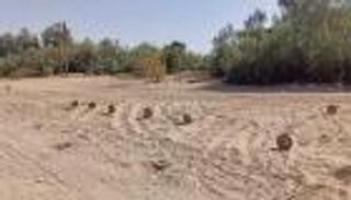 يمنيون محاصرون بين الحوثي والمرض.. آلام في شباك الألغام