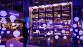 إستونيا تبرز تجربتها الرقمية الفريدة بالعالم