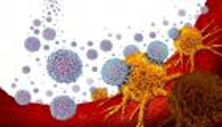 تجميع أفضل المقاتلين.. نهج جديد لعلاج الأورام بالخلايا