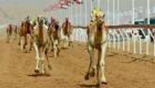 إكسبو 2020 دبي يرعى مهرجان سباق الهجن 2022