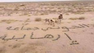 جهود القوات المشتركة في نزع الألغام الحوثية