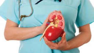 المتلازمة الكلوية قد يرجع سببها إلى عوامل وراثية