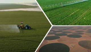 مشروع مستقبل مصر التنموي