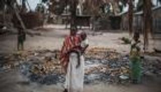 سلاح الجوع.. أسود وثعابين وتماسيح تلتهم "دواعش موزمبيق"