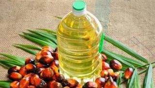 مصر تستثمر في زيت النخيل