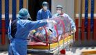 كورونا وحمى الضنك.. كيف تفرق بين الأعراض؟