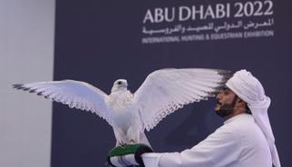 صقر (بيور جير) إلترا وايت أمريكي