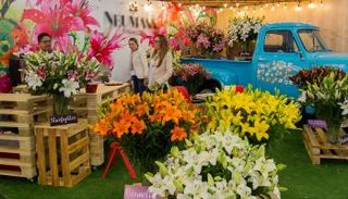 معرض Expo Flor Ecuador