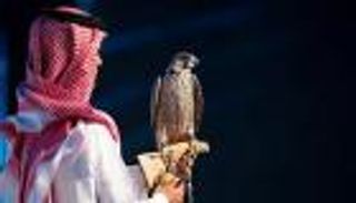 عائدات مبهرة.. 18 مليون ريال حصيلة مزاد الصقور السعودي