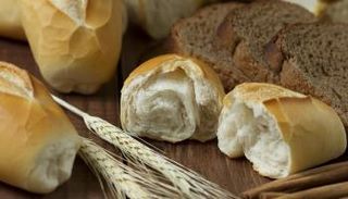 عيش فينو - أرشيفية