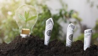 تحديات الحوكمة البيئية