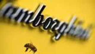 بطعم العسل.. وجه آخر للمنافسة الشرسة بين لامبورجيني وبورشه