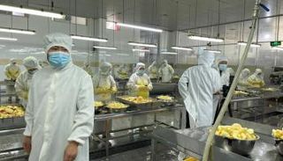 التكنولوجيا الرقمية تدعم القطاع الزراعي في الصين بكافة مراحله