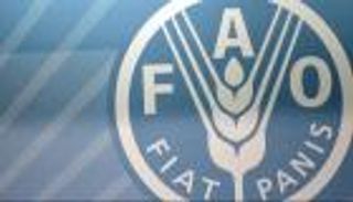 "فاو" تزف بشرى للعالم.. أسعار الغذاء تتراجع