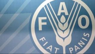 منظمة الفاو