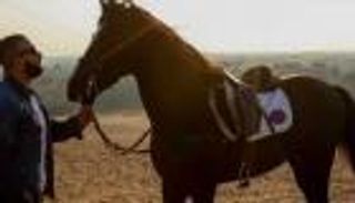 أحمد السقا يتحدث عن "الفروسية": تعلم الأخلاق قبل أي شيء (فيديو)