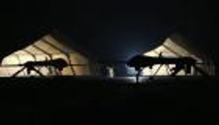 هجمات "الدرونز" في حرب الإرهاب.. البيت الأبيض يتجه لتشديد الشروط