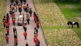 حصان الملكة إليزابيث يقف في قلعة وندسور لحظة وصول الجنازة الملكية