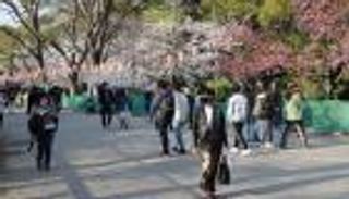 بلا شروط.. اليابان تودع قيود كورونا وتفتح حدودها للجميع