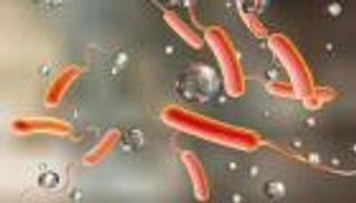 16 وفاة و32 إصابة بالكوليرا في هايتي