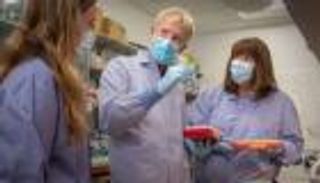 اكتشافان جديدان يحددان الأسباب الكامنة وراء سرطان المبيض