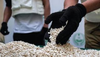 حبوب مخدرة - أرشيفية