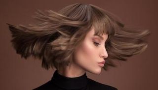 تصفيف الشعر من الأمور التي تحير الكثيرات مع تعاقب فصول السنة- أرشيفية