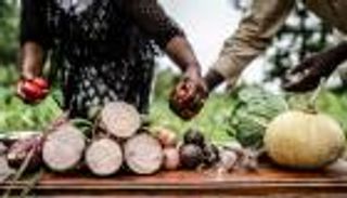 في يوم الغذاء العالمي 2022.. الملايين خلف الركب