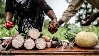 العالم وأزمات الغذاء