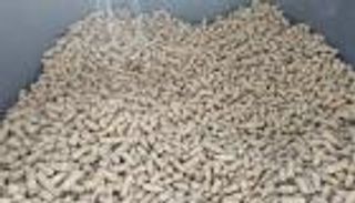 إثر اجتماع طارئ لإنقاذ "الكتاكيت".. سوق الأعلاف في مصر تزداد جنونا