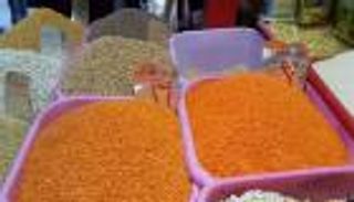 "بروتين الغلابة".. نقص المعروض يشعل أسعار العدس بمصر