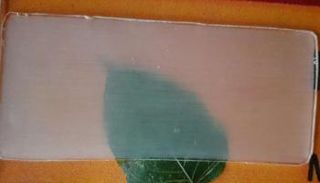  الخشب الشفاف قد يكون بديلاً مستدامًا للزجاج أو البلاستيك