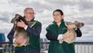 صور.. حيوانات في استقبال رئيس وزراء اليابان بأستراليا