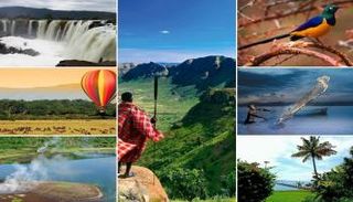 السياحة في كينيا.. أفضل الوجهات السياحية وتكاليف الزيارة