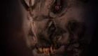 نملة ترعب الجميع.. صورة مقربة تثير الدهشة