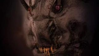 صورة مقربة لوجه نملة 