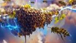 الحشرات تساهم في كهرباء الغلاف الجوي