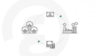 الصندوق السيادي السعودي يطلق شركة سوق الكربون الطوعي