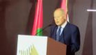 أبو الغيط: الإمارات من أكبر الداعمين للجمهورية الجديدة في مصر