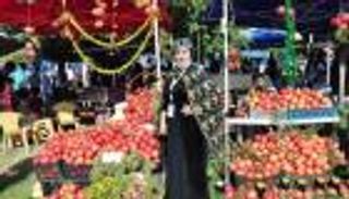 مهرجان الرمان في العراق..  تقليد سنوي يشع بالبهجة (صور)