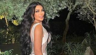 النجمة هيفاء وهبي